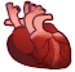 :anatomical_heart: