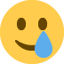 :smiling_face_with_tear: :smiling_face_with_tear: