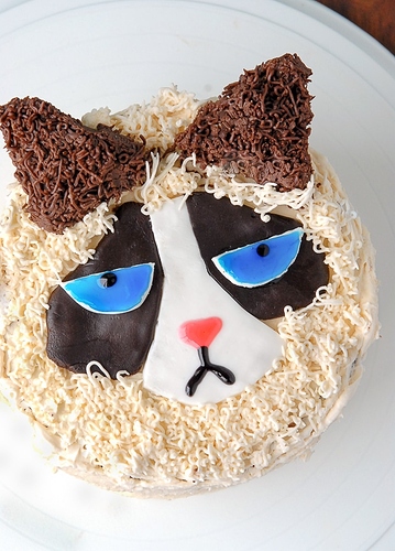 How-to-Make-a-Grumpy-Cat-Cake-BoulderLocavore.com-986