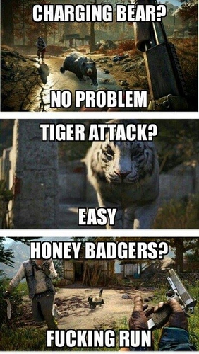 Far Cry 4 honey badgers