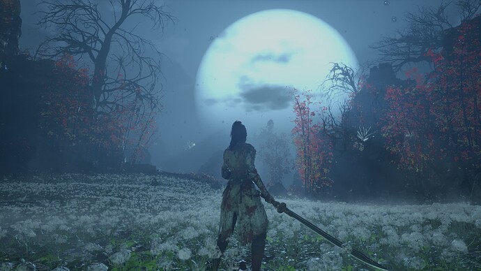 WUCHANG_ Fallen Feathers 2025_07_29 11_26_20