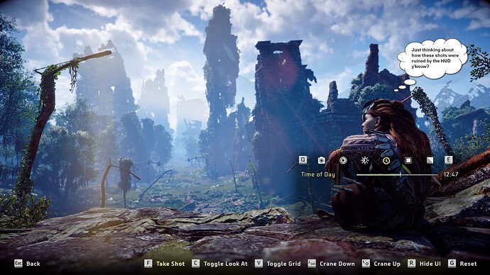 Horizon Zero Dawn_Fri_Dec_31_18-04-47_2021HUD fail 2