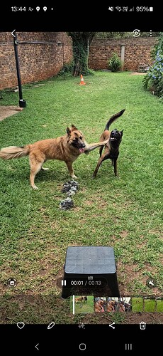 Screenshot_20260114_134420_Gallery