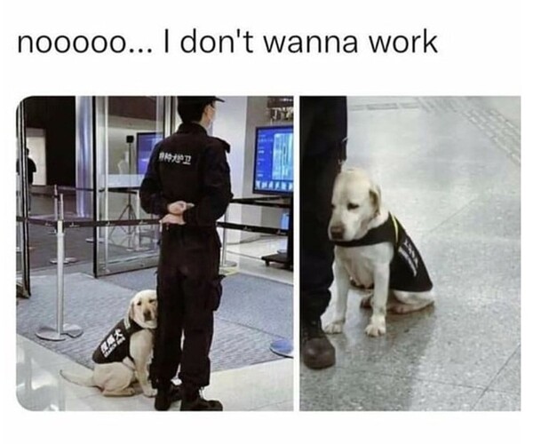 Screenshot_20240303_235950_org.mozilla.firefox