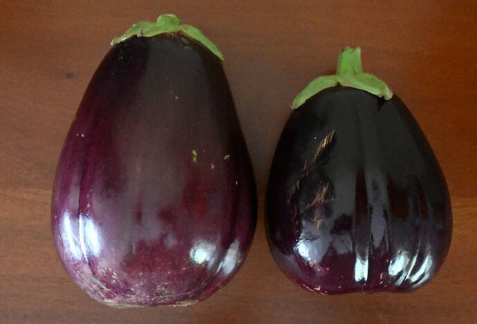 brinjals