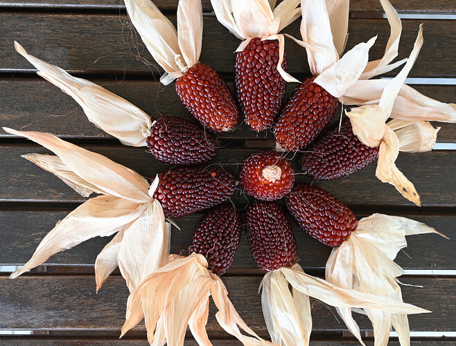 strawberry corn