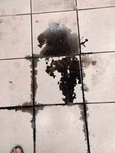 WhatsApp Image 2026-02-12 at 11.33.44