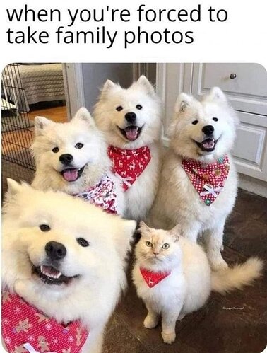 111111