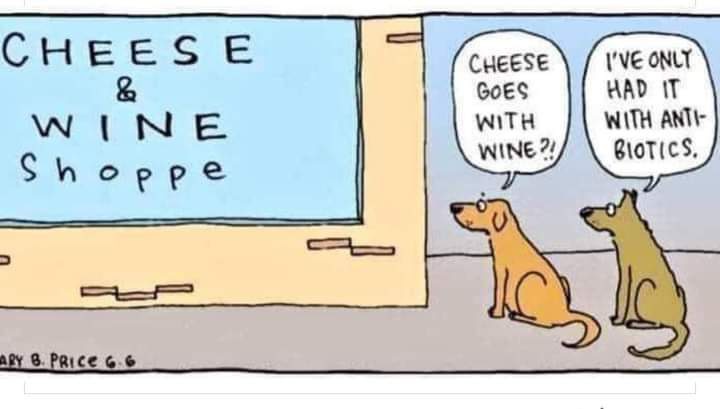 dog cheese joke